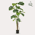 Kunstpflanze, Monstera, Gatenplant, 180 cm