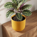 Pot Elho Jazz Round Amber Yellow - D23cm - H21cm