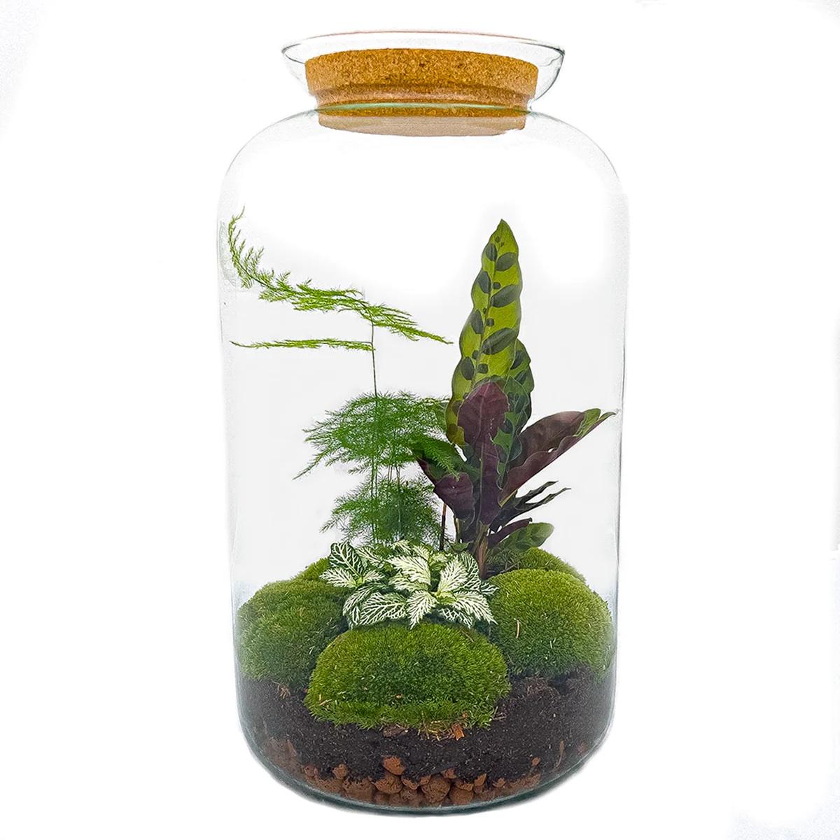 Flaschengarten – Botanical Sven XL – 43 cm – Rechen + Schaufel + Pinzette