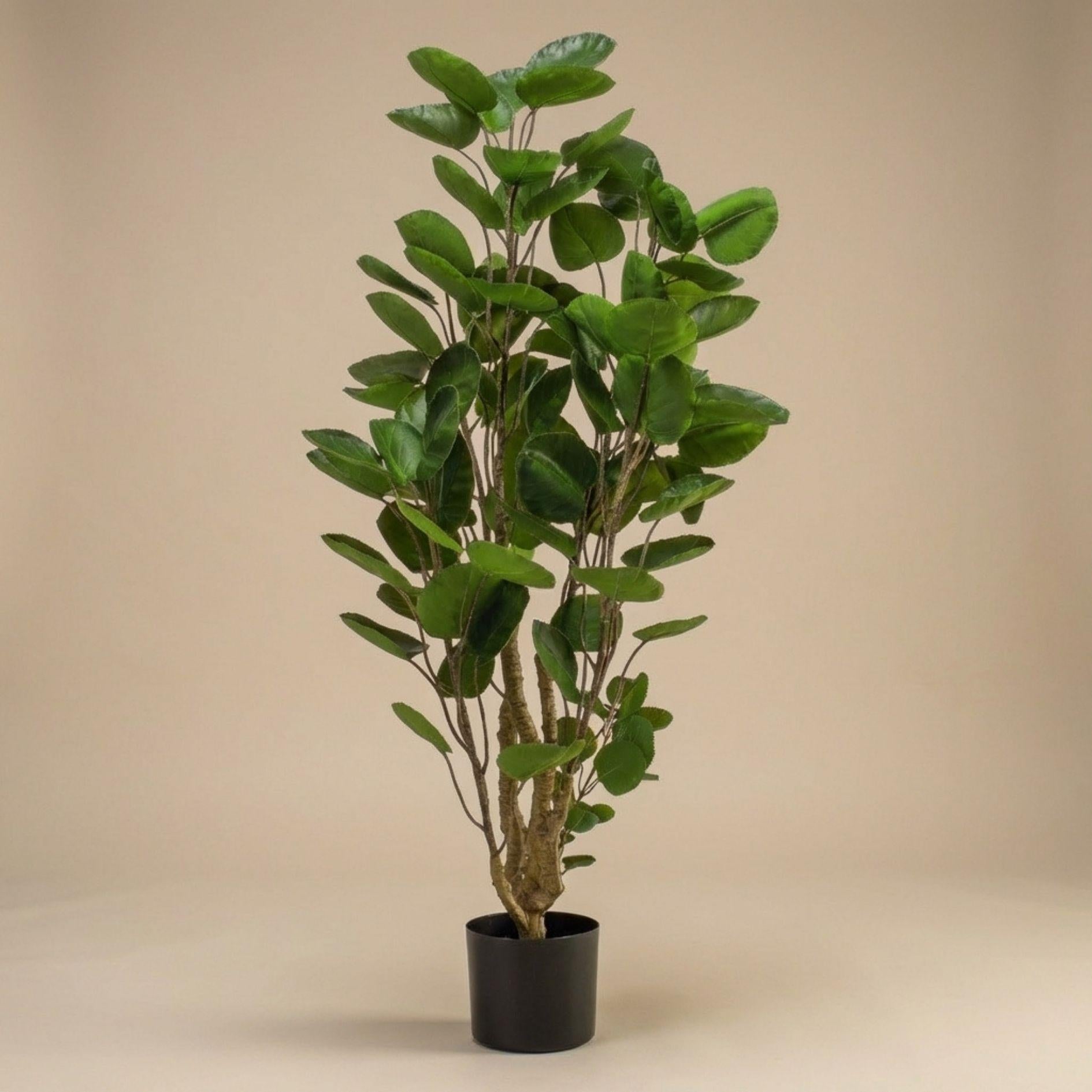 Kunstpflanze Polysciasbaum, 105 cm