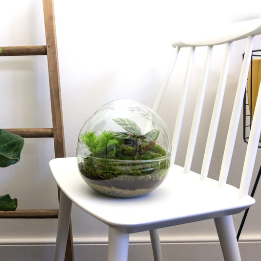 Flaschengarten – Dome – 20 cm – Rechen + Schaufel