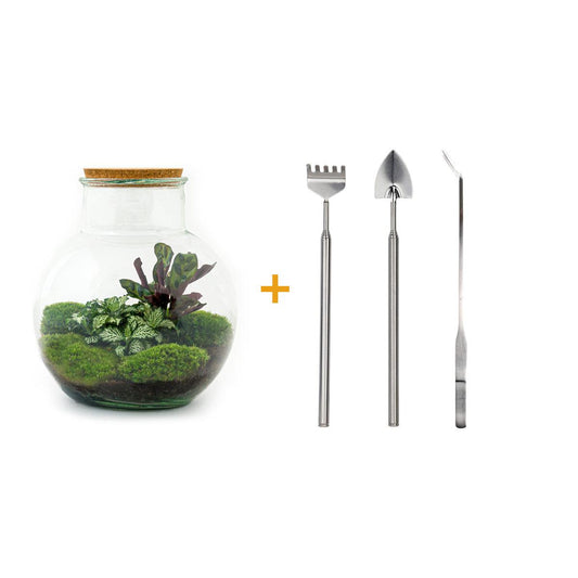 Flaschengarten – teddy – 26,5 cm – Rechen + Schaufel + Pinzette