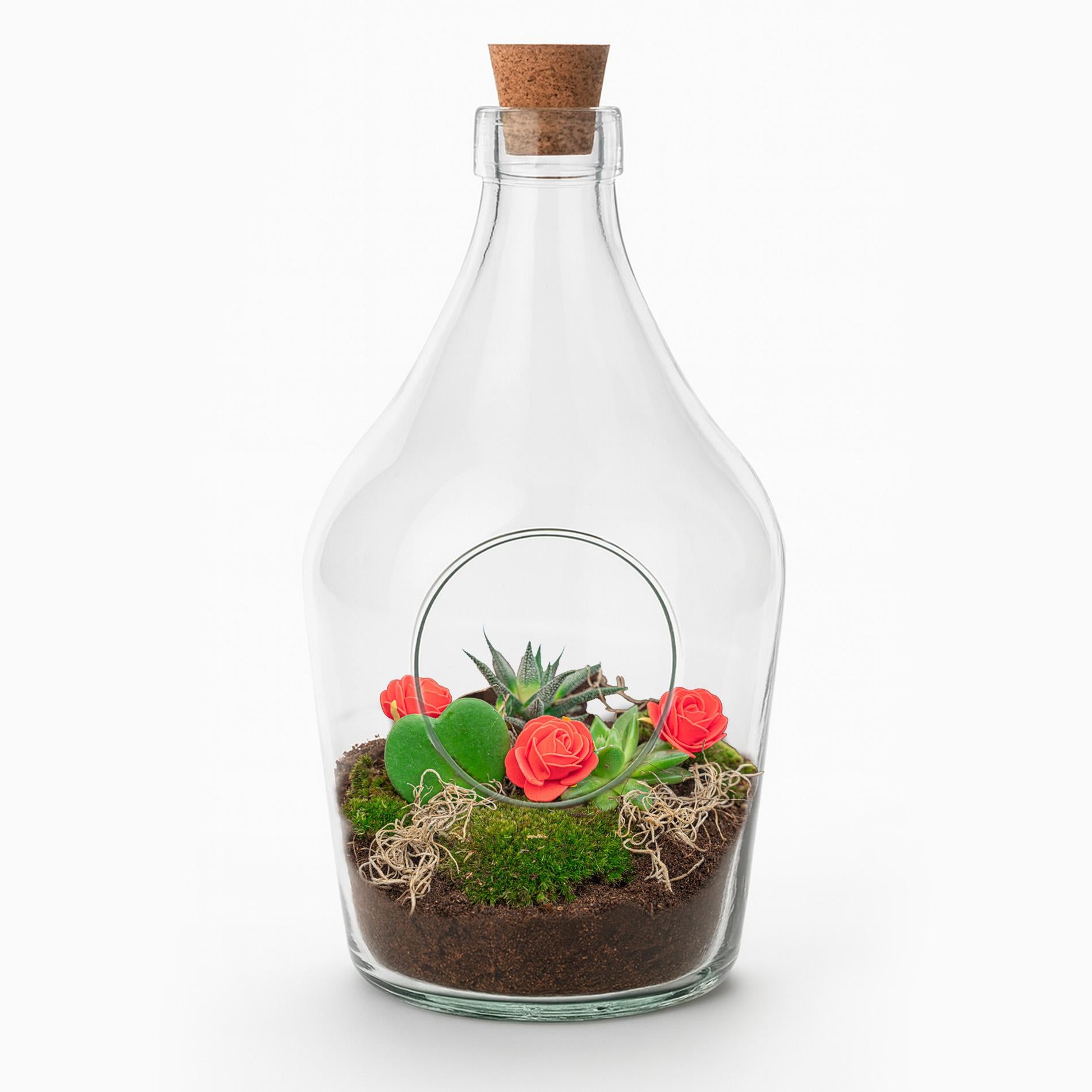 Pflanzenterrarium, Love in a Bottle, DIY-Set, DIY Open Pflanzenterrarium, Ø16 cm ↑ 30 cm
