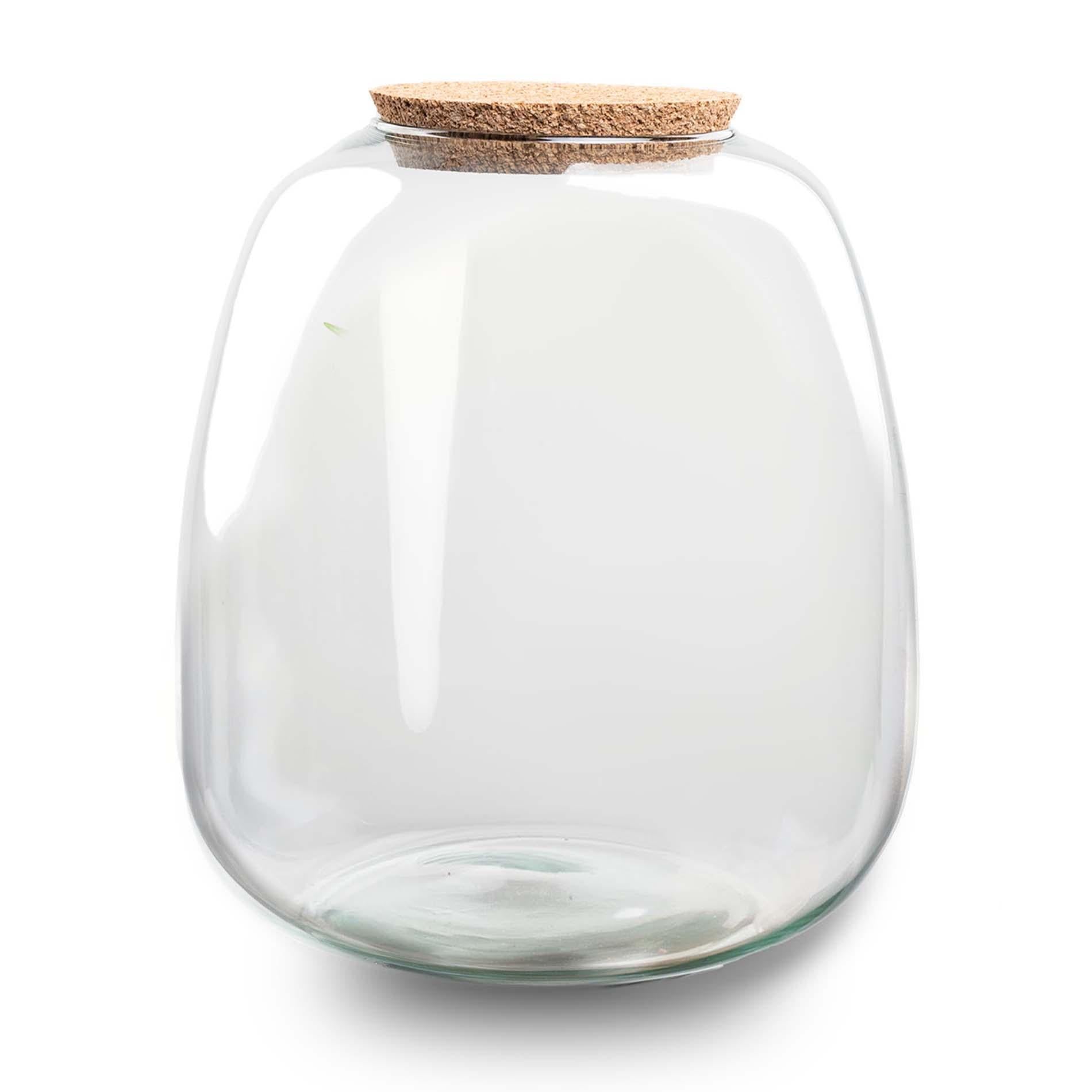 Terrariumflasche „emma“ – 25×23 cm – glas - Botanic-Vibes