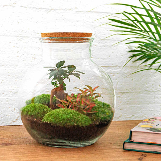 Flaschengarten – Teddy Bonsai – 26,5 cm – Rechen + Schaufel + Pinzette