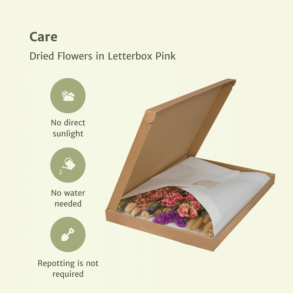 Trockenblumen im Briefkasten, Rosa