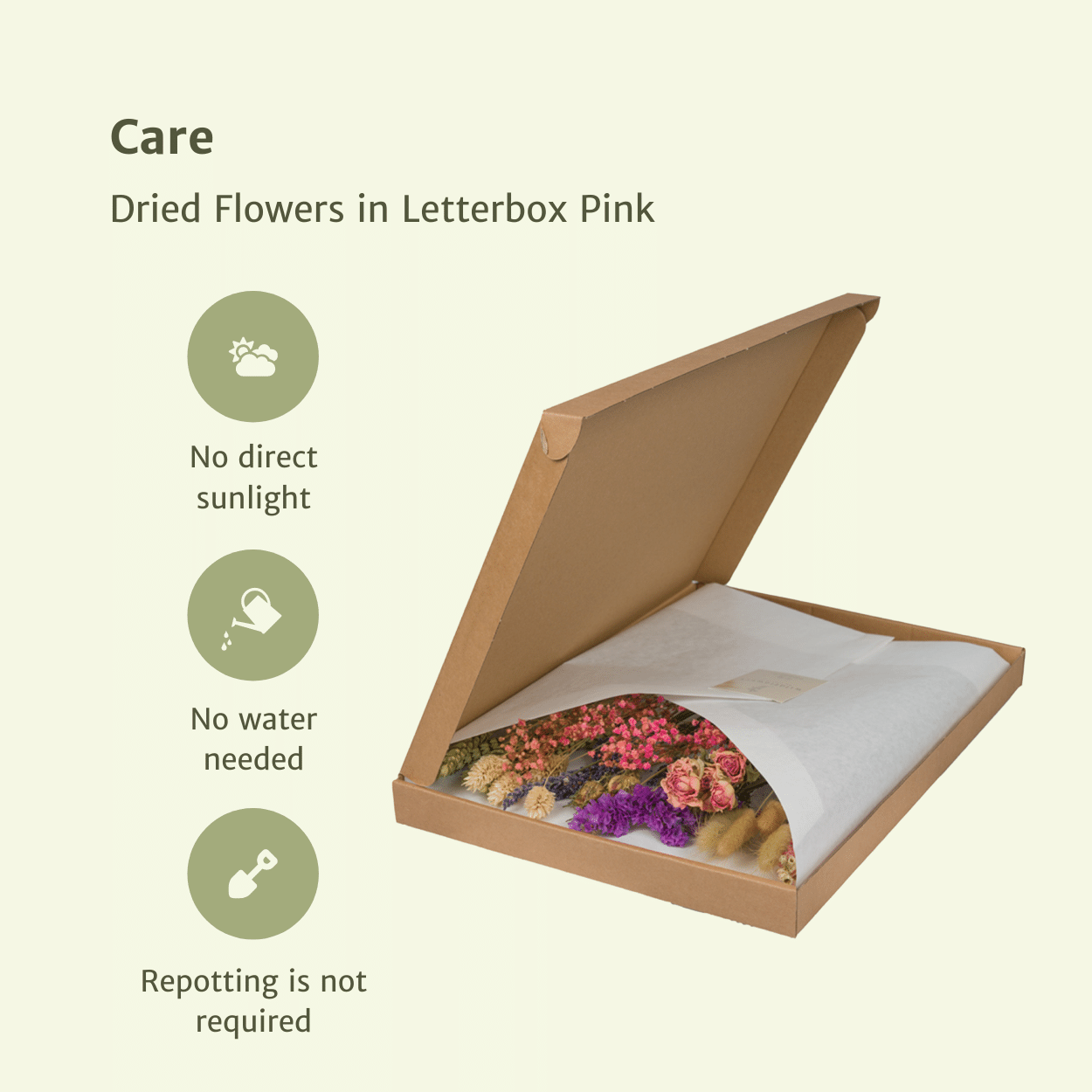 Trockenblumen im Briefkasten, Rosa