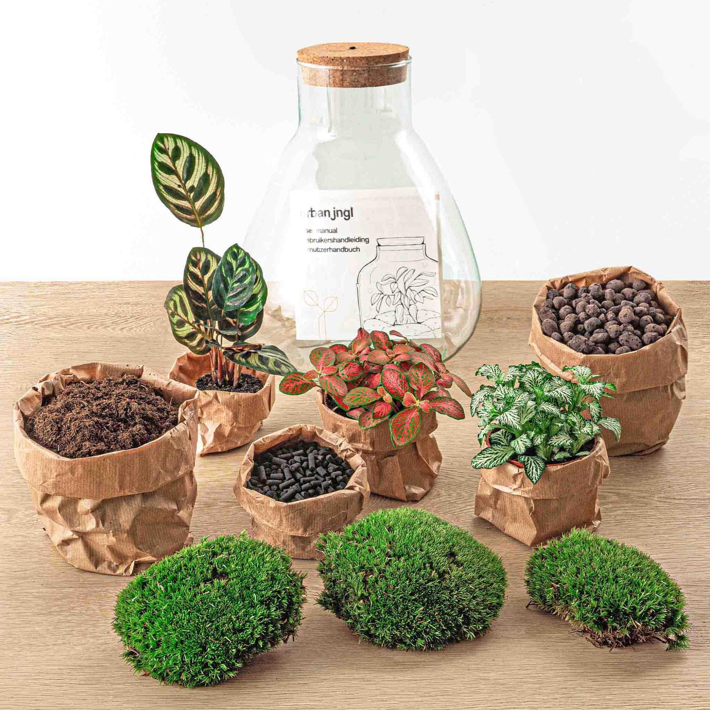 Flaschengarten – sam calathea mit lampe – 30 cm – Rechen + Schaufel