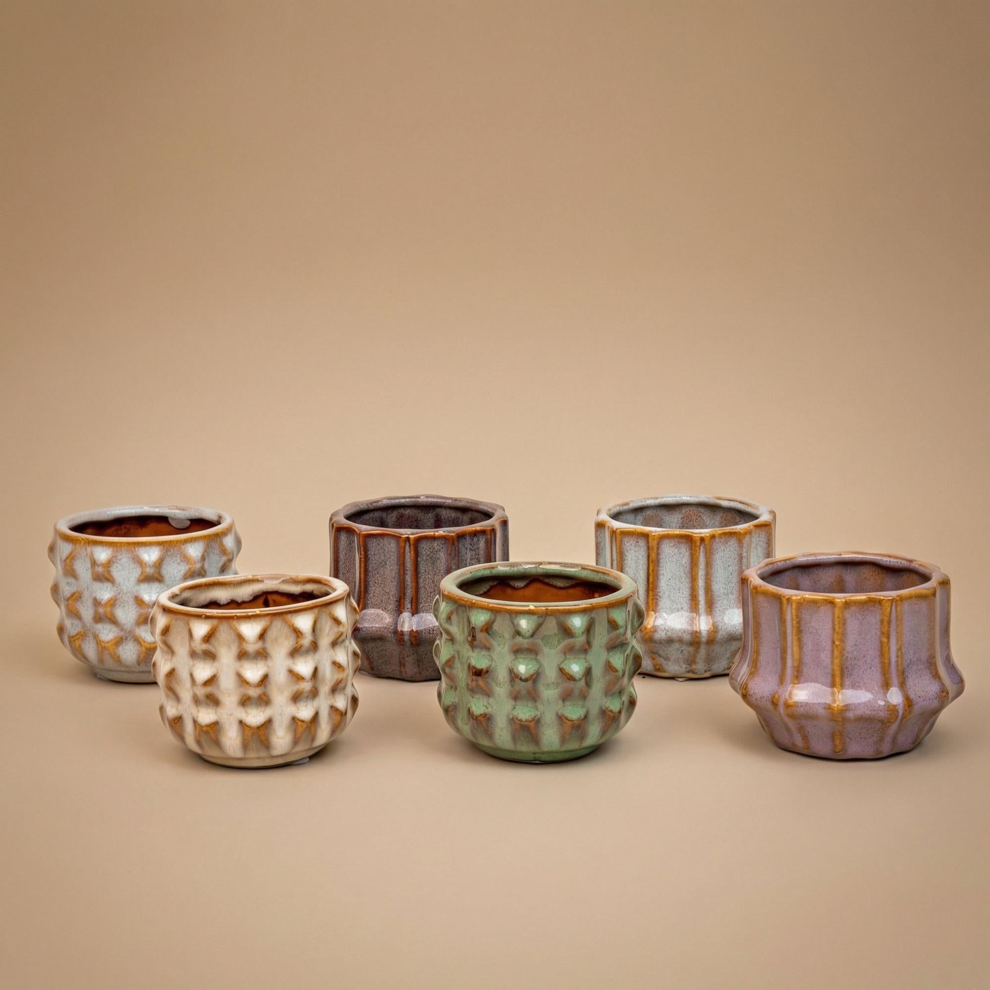 Pflanzen set von 6 mit topf set San Juan, Kaktus mix, Ø6 cm