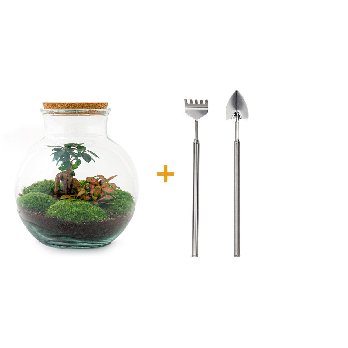 Flaschengarten – teddy bonsai – 26,5 cm – Rechen + Schaufel