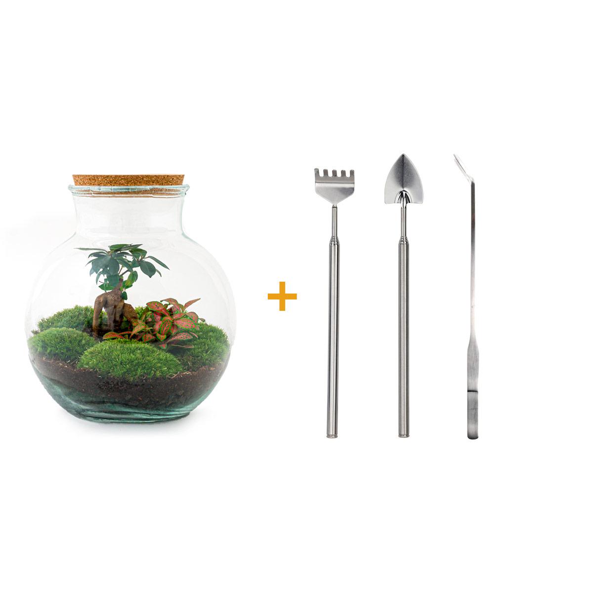 Flaschengarten – Teddy Bonsai – 26,5 cm – Rechen + Schaufel + Pinzette