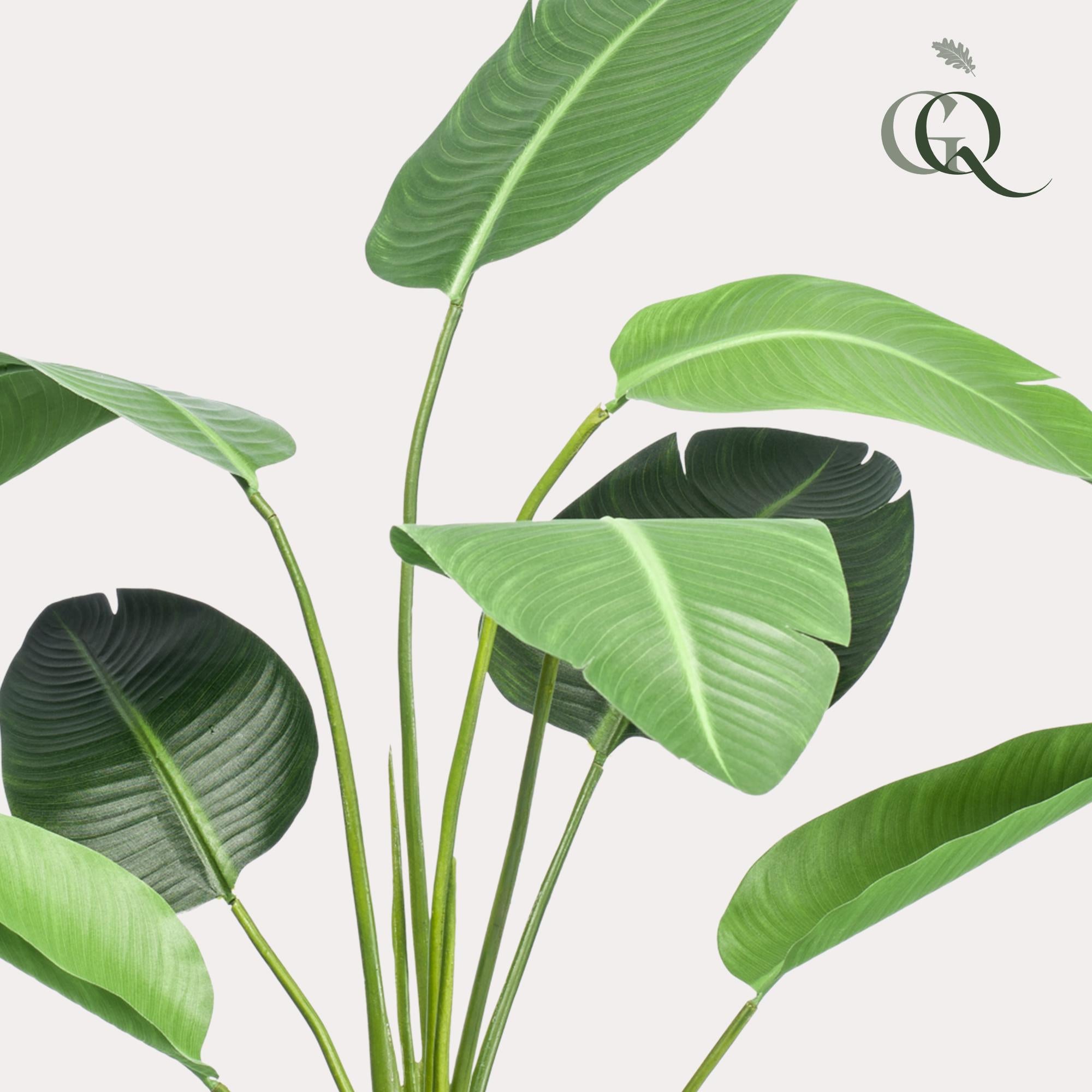 Kunstpflanze, Strelitzia nicolai, Paradijsvogelbloem, 120 cm