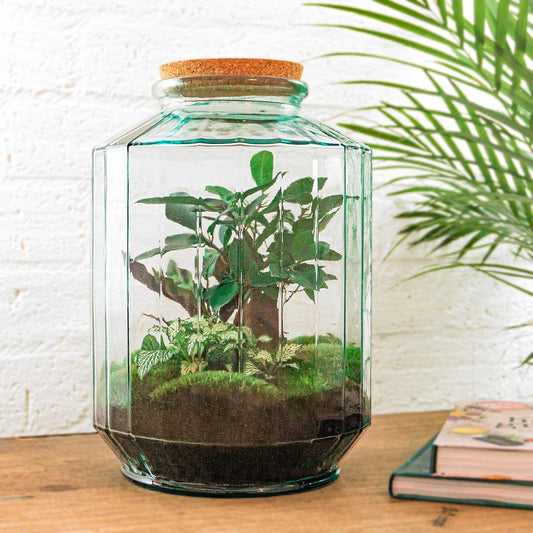 Flaschengarten – Botanischer Garten XL – 35 cm – Rechen + Schaufel + Pinzette + Schere