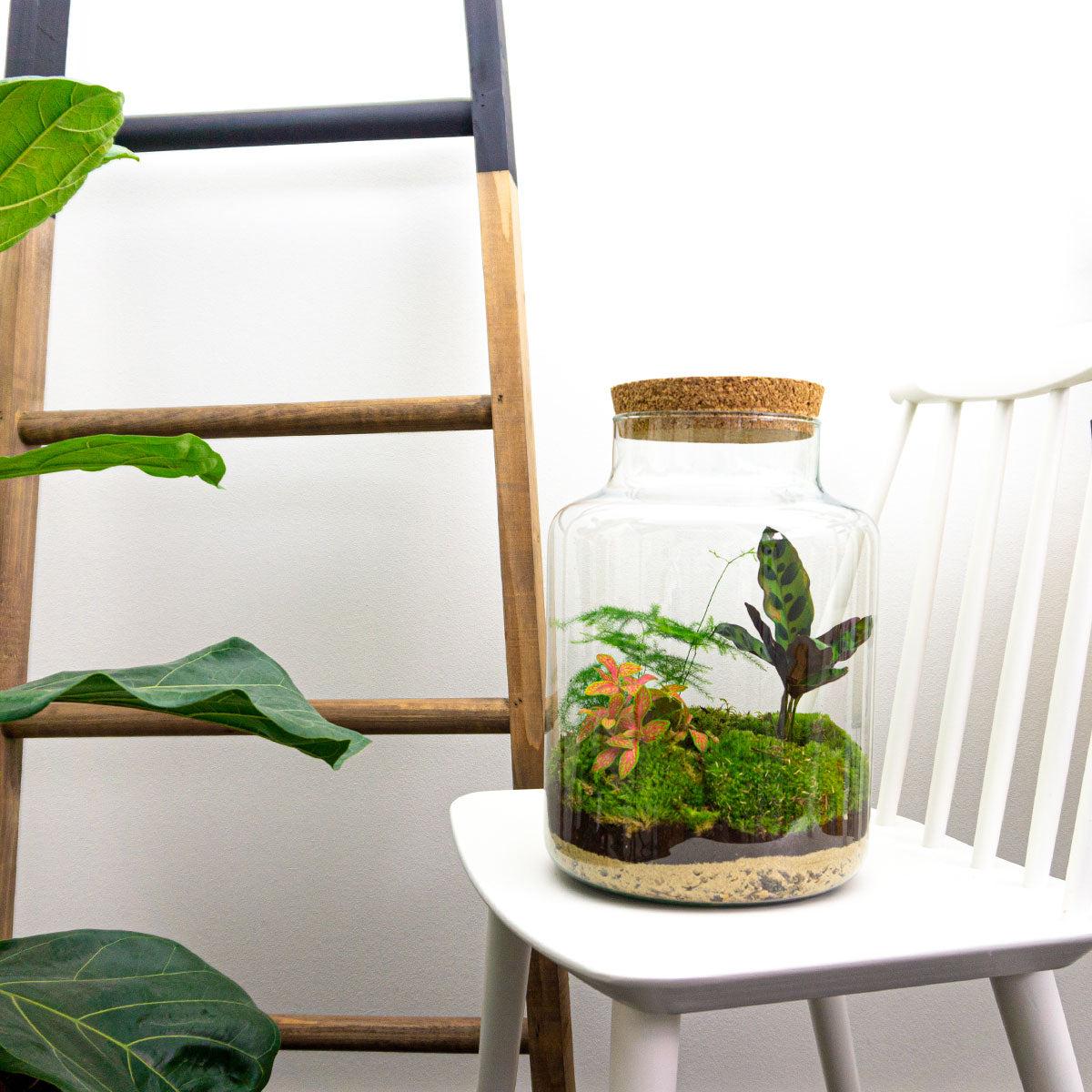 Flaschengarten – Milky – 30 cm – Standardausführung