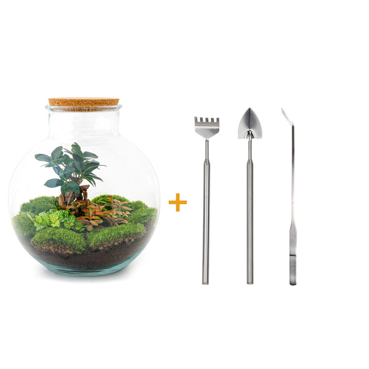 Flaschengarten – Bolder Bob Bonsai – 30 cm – Rechen + Schaufel + Pinzette