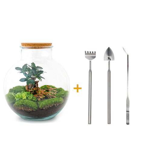 Flaschengarten – Bolder Bob Bonsai – 30 cm – Rechen + Schaufel + Pinzette
