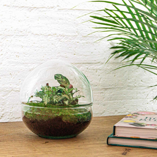 Flaschengarten – Dome – 20 cm – Rechen + Schaufel + Pinzette