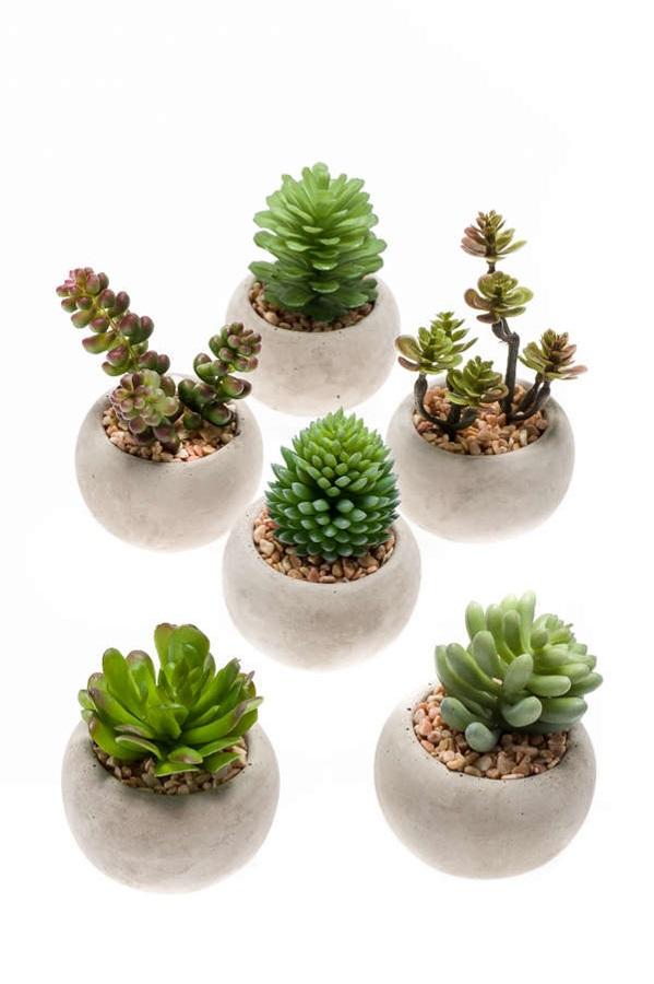Kunst mini Sukkulenten in cementen Topf, Succulent mix set 6, Ø6,5 cm