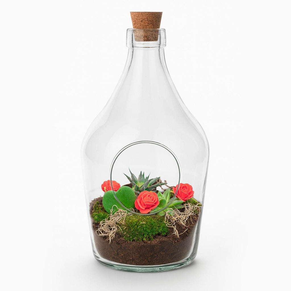 Pflanzenterrarium, Love in a Bottle, DIY-Set, DIY Open Pflanzenterrarium, Ø16 cm ↑ 30 cm