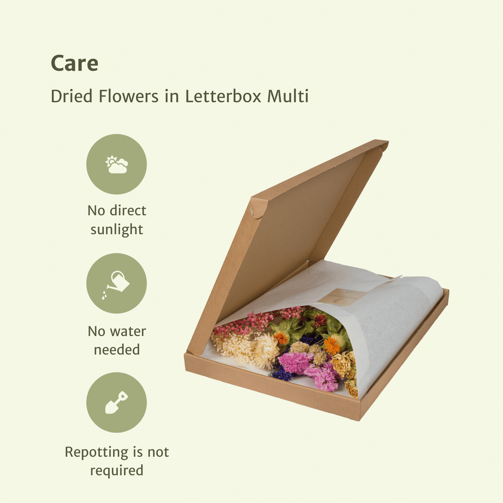 Trockenblumen im Briefkasten, Multi