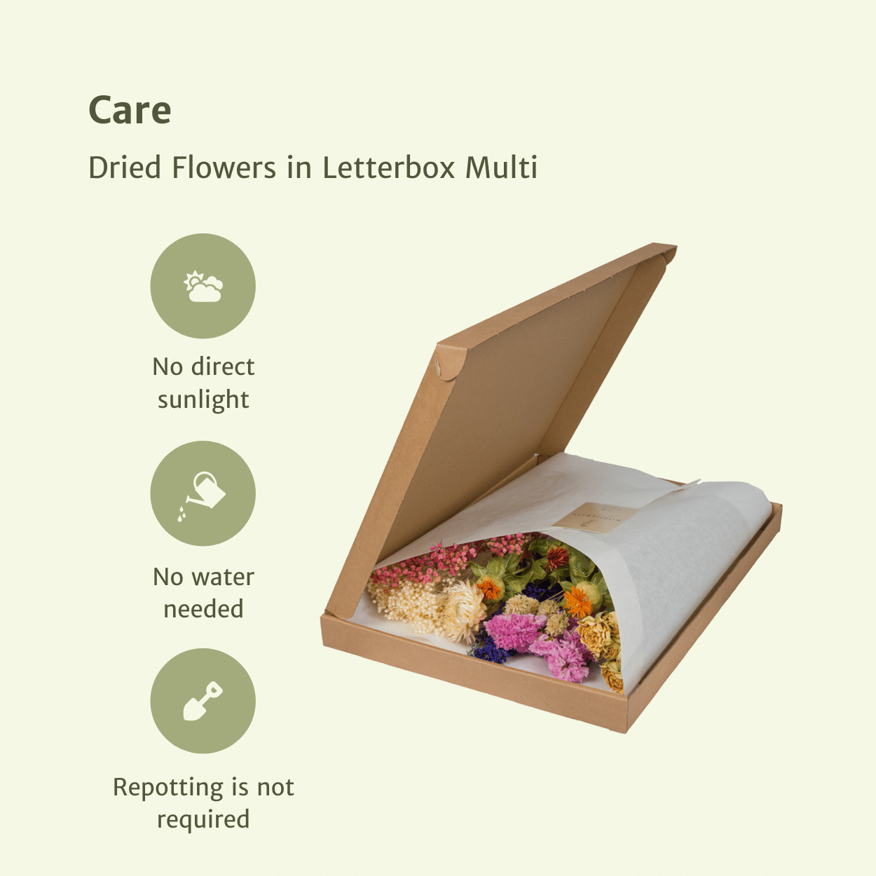 Trockenblumen im Briefkasten, Multi
