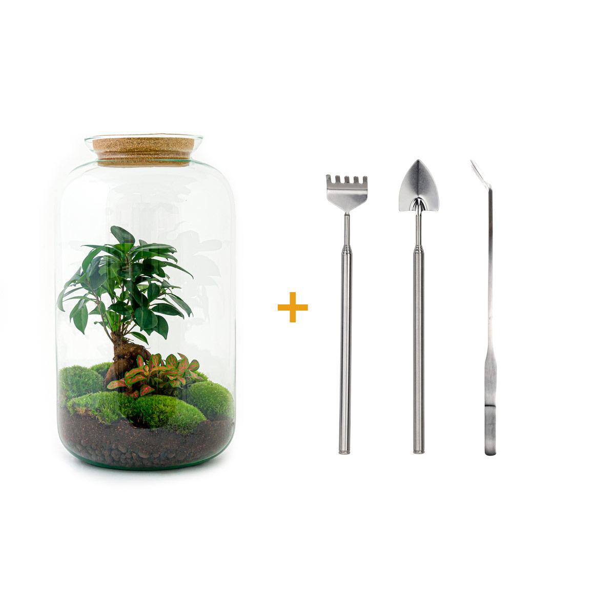 Flaschengarten – sven bonsai – 43 cm – Rechen + Schaufel + Pinzette