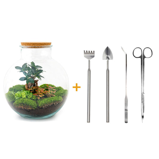 Flaschengarten – Bolder Bob Bonsai – 30 cm – Rechen + Schaufel + Pinzette + Schere