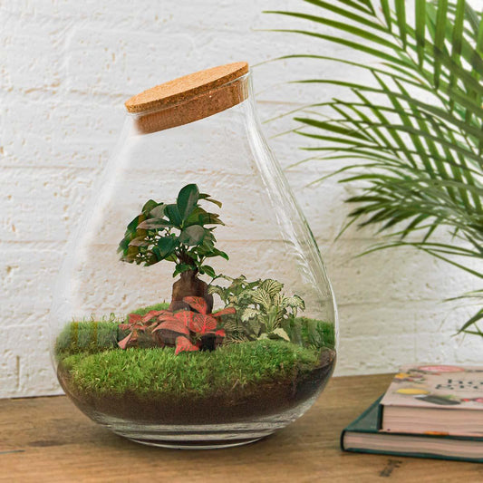 Flaschengarten – Drop XL – 37 cm – Rechen + Schaufel + Pinzette + Schere