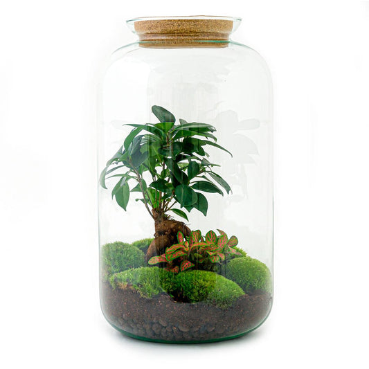 Flaschengarten – sven bonsai – 43 cm – Rechen + Schaufel + Pinzette