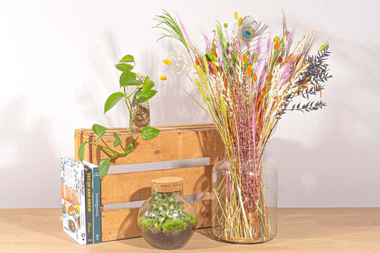 Trockenblumenstrauß – Halloween – Trockenstrauß – 70 cm