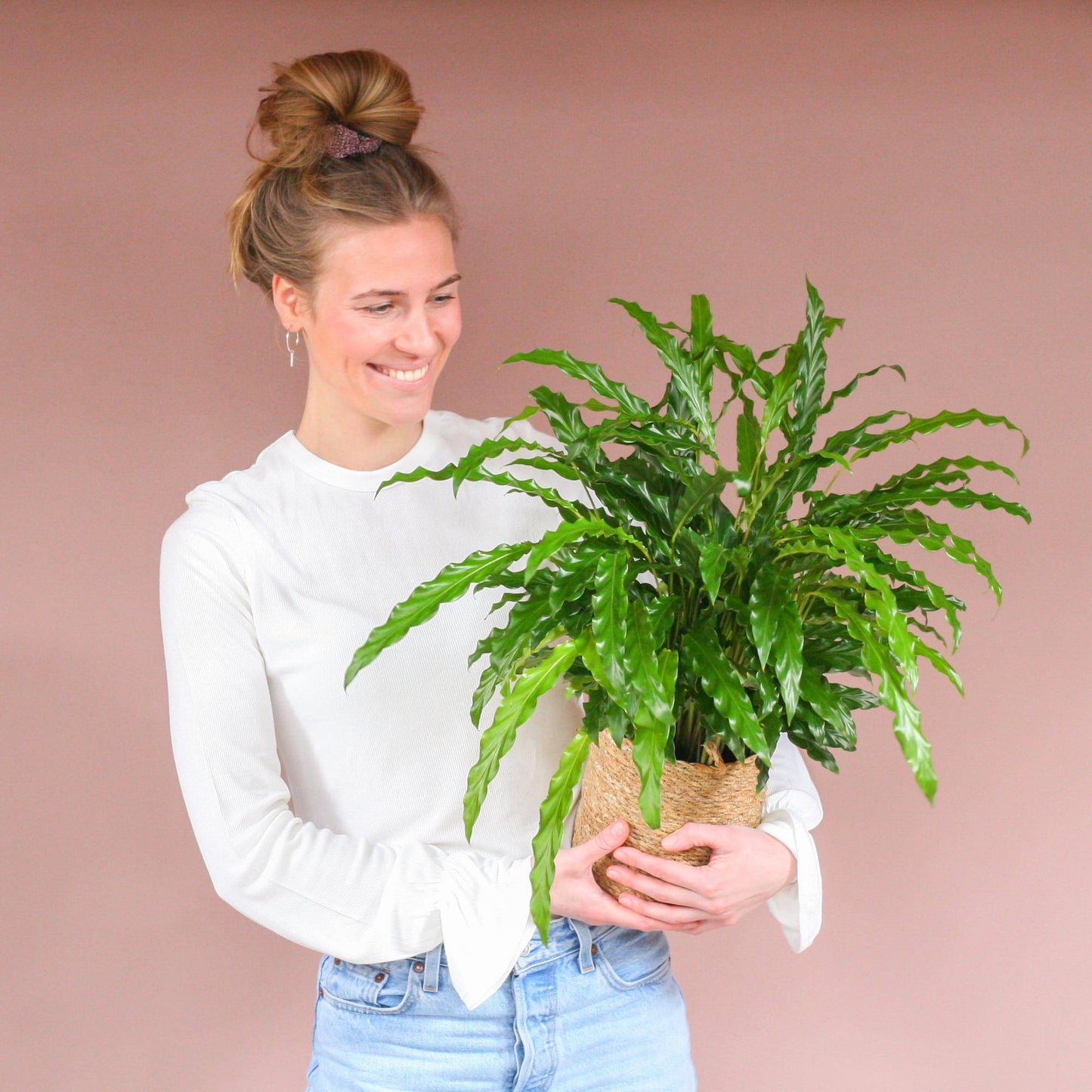 Calathea Rufibarba mit Sofia-Korb natur - 55cm - Ø17 - Botanic-Vibes