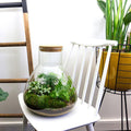 Flaschengarten – sam xl – 35 cm – Standardausführung - Botanic-Vibes