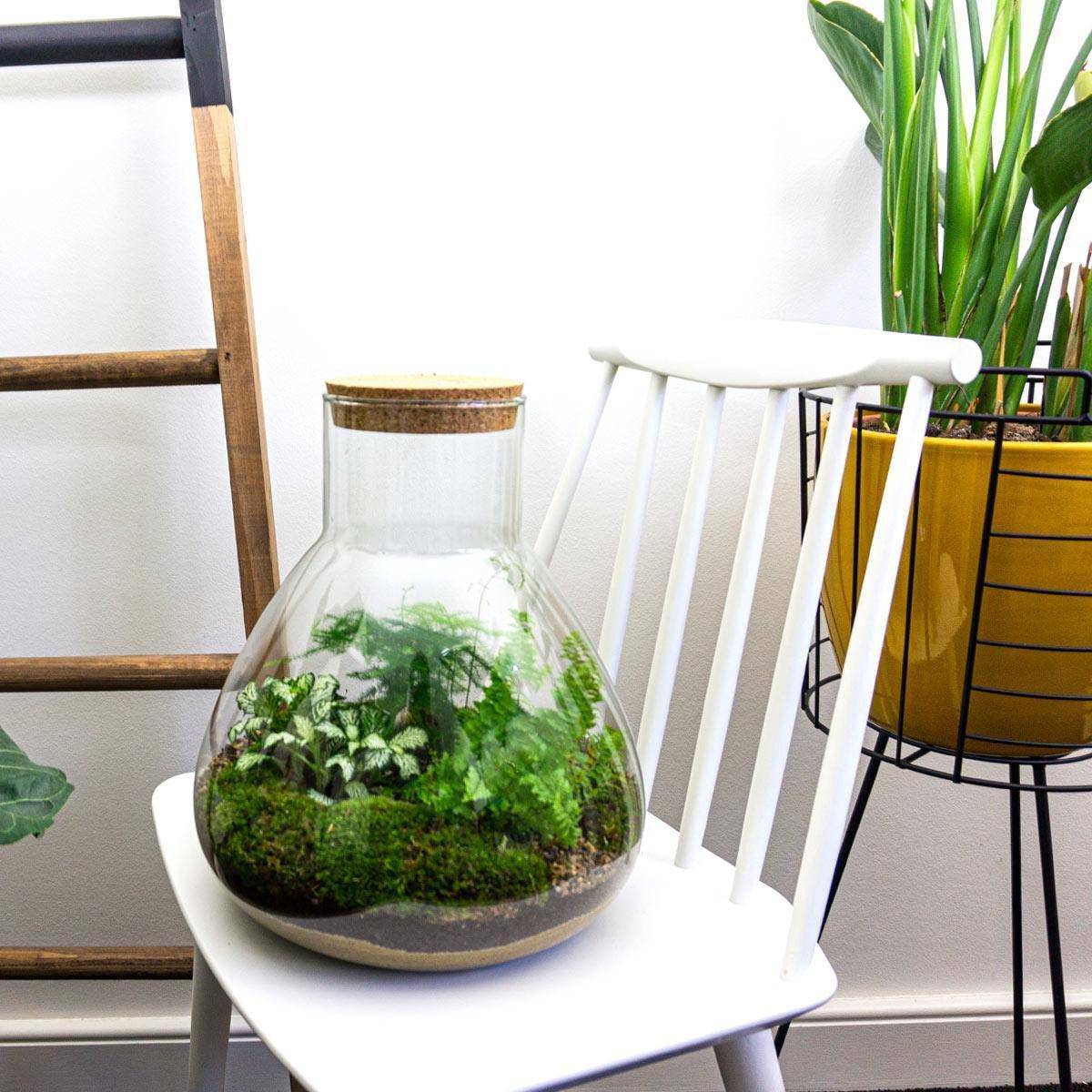 Flaschengarten – sam xl – 35 cm – Standardausführung - Botanic-Vibes