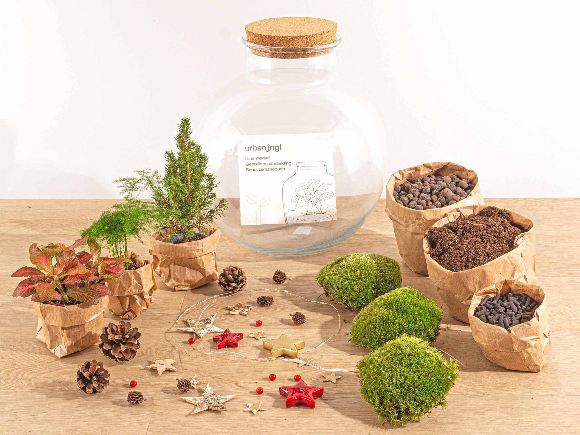 Bolder Bob Bonsai Weihnachten – DIY – 30 cm - Botanic-Vibes