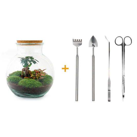 Flaschengarten – teddy bonsai – 26,5 cm – Rechen + Schaufel + Pinzette + Schere