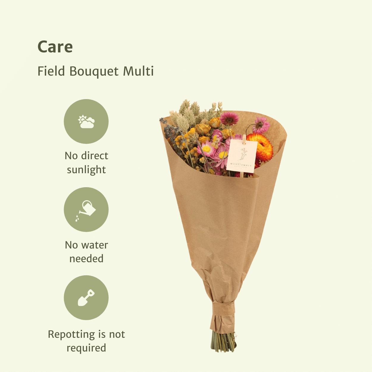 8x Feldstrauß Multi, Trockenblumenstrauß, 50 cm, Ø20 cm
