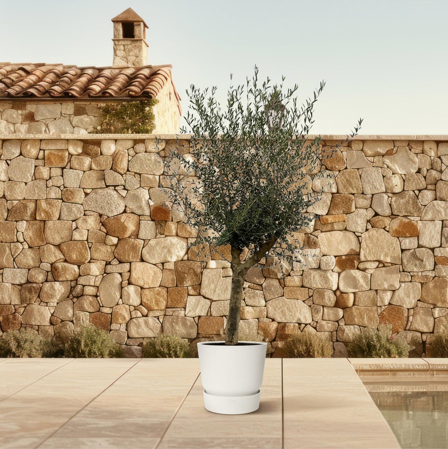 Olea Lorc – 200 cm – Ø45
