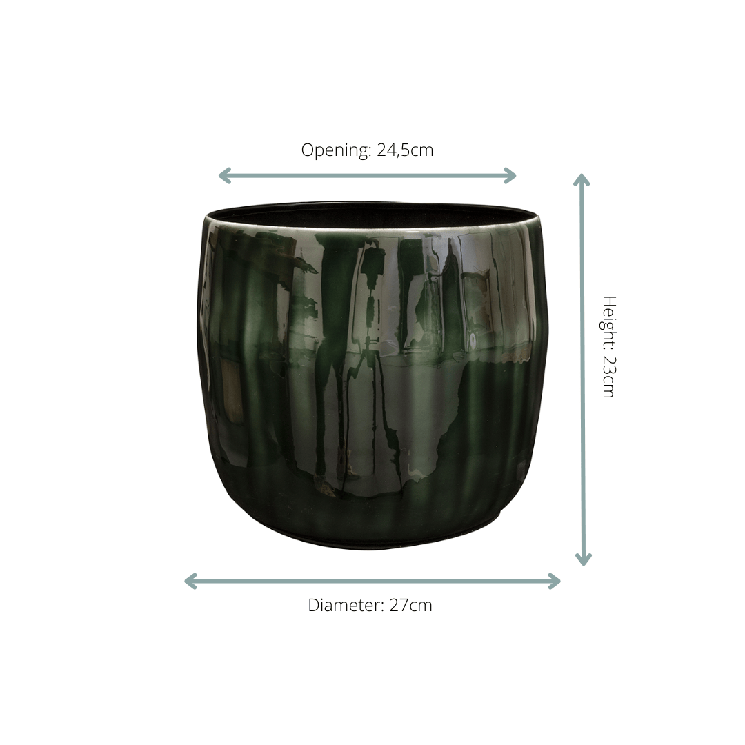 Pot Babet Pine - D27 x H23 - Botanic-Vibes