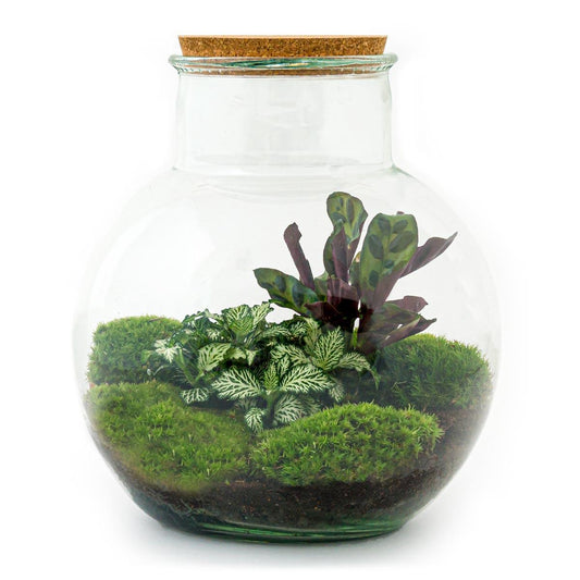 Flaschengarten – teddy – 26,5 cm – Rechen + Schaufel