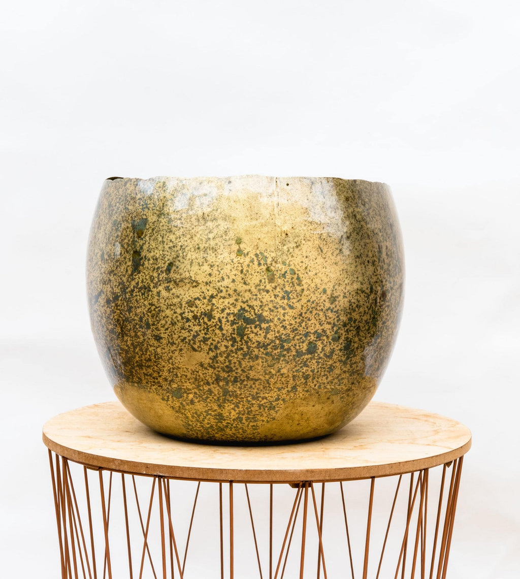 Ellen Brass – 25×19 - Botanic-Vibes