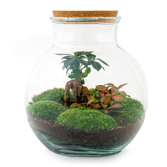 Flaschengarten – teddy bonsai – 26,5 cm – Rechen + Schaufel