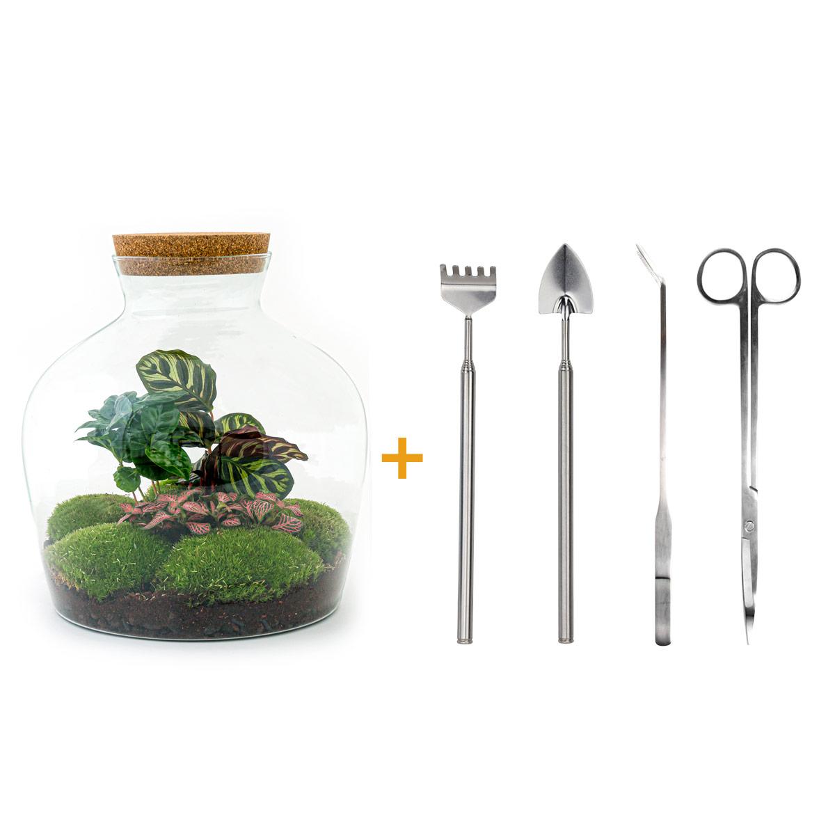 Flaschengarten – Fat Joe Coffea – 30 cm – Rechen + Schaufel + Pinzette + Schere