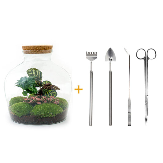Flaschengarten – Fat Joe Coffea – 30 cm – Rechen + Schaufel + Pinzette + Schere