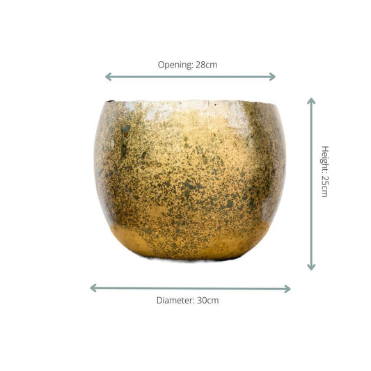 Ellen Brass – 30×25 - Botanic-Vibes