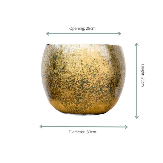 Ellen Brass – 30×25