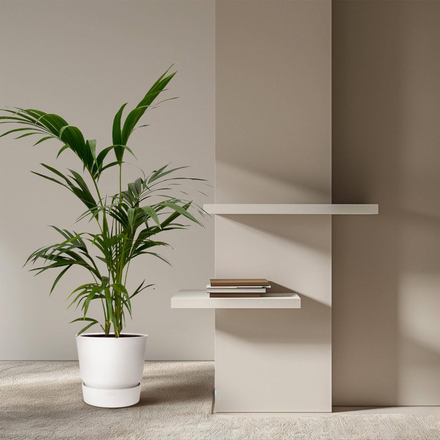 Kentia Palme – 130 cm – Ø21 - Botanic-Vibes