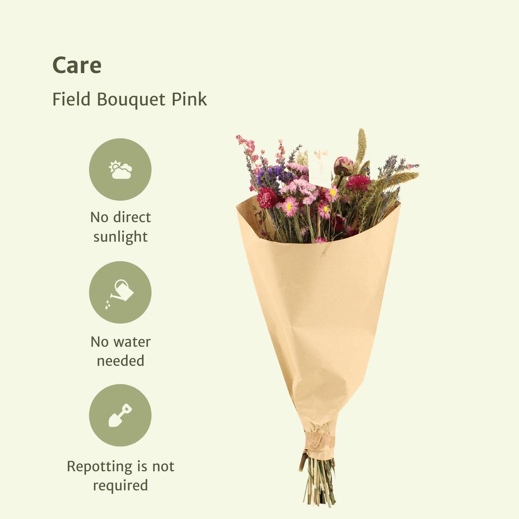 10x Feldstrauß Rosa, Trockenblumenstrauß, 50 cm, Ø20 cm