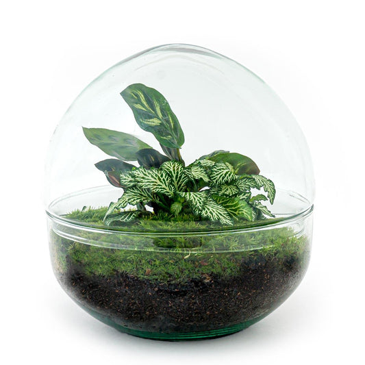 Flaschengarten – Dome – 20 cm – Rechen + Schaufel