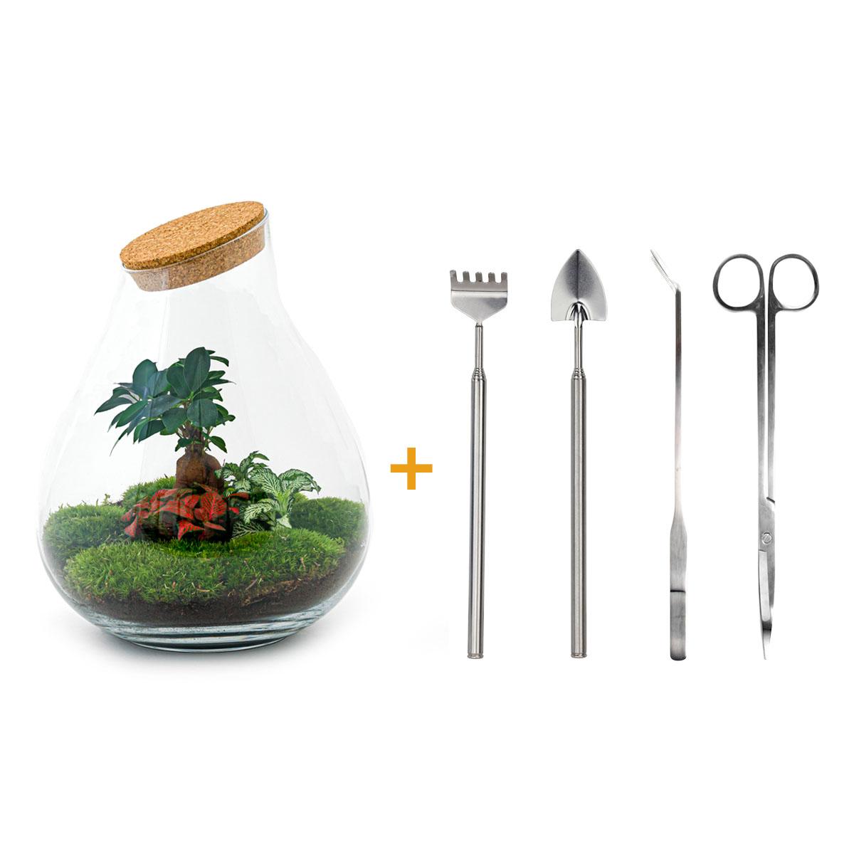 Flaschengarten – Drop XL – 37 cm – Rechen + Schaufel + Pinzette + Schere