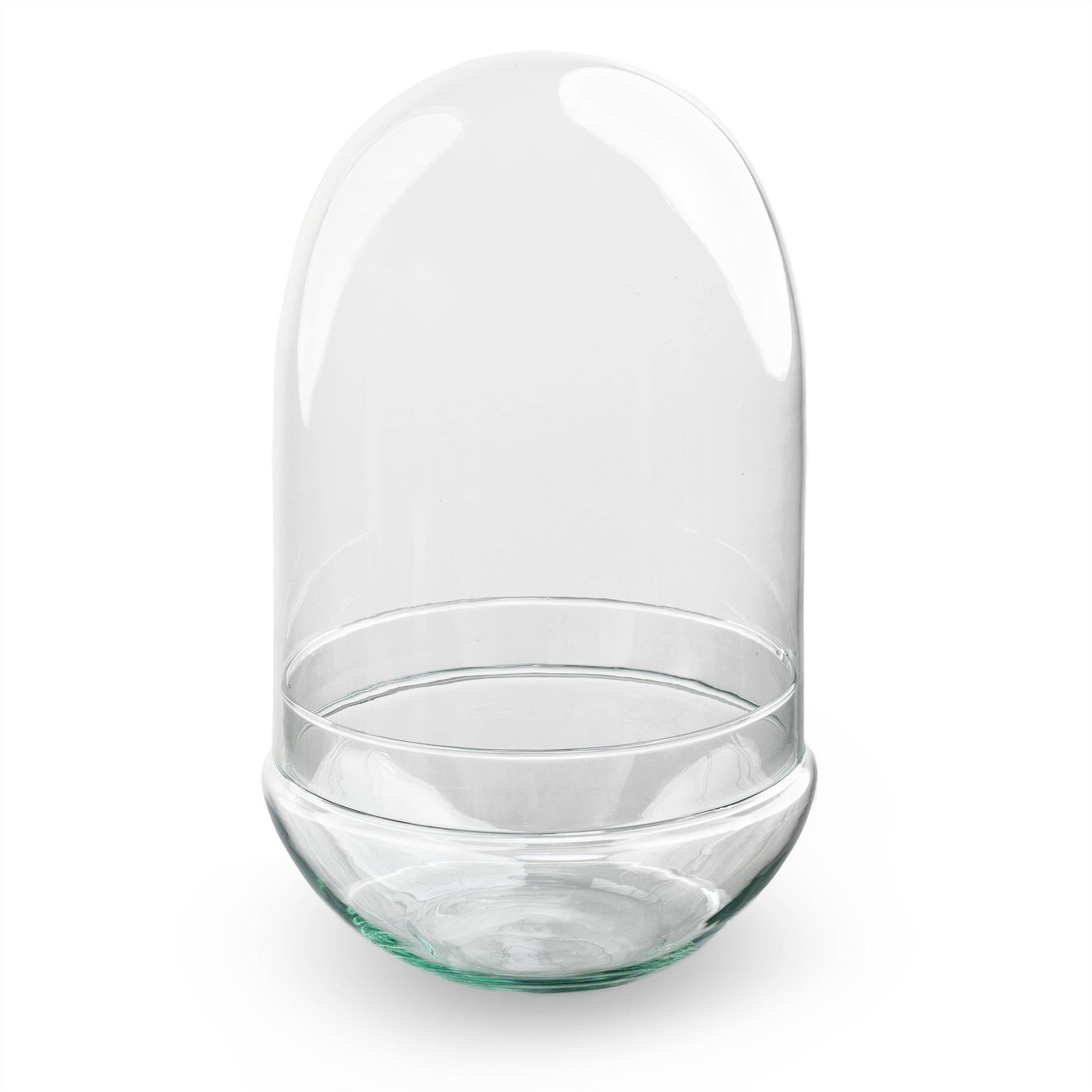 Terrariumflasche – egg xl – 30 cm - Botanic-Vibes